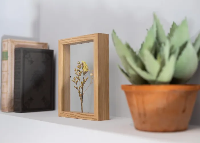 Gasthuis Anjos Balconies