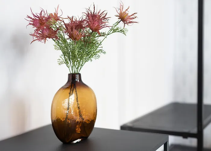 Πανσιόν Anjos Balconies